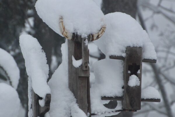 19_Shamane_Snow_6223 Rainer Leitz Artwork G.05 "Schamane, Wolf und Rabe" Garden Figure Detail Foto